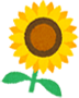 向日葵イラスト